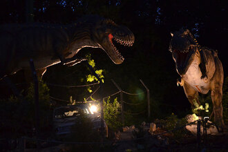 Noc v DinoParku