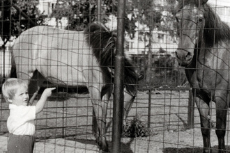 Vzpomínky na zookoutek – fotosoutěž